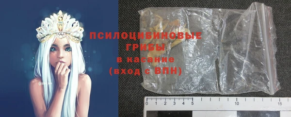ешки Медногорск
