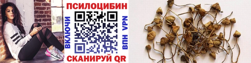 Галлюциногенные грибы Magic Shrooms  Феодосия 