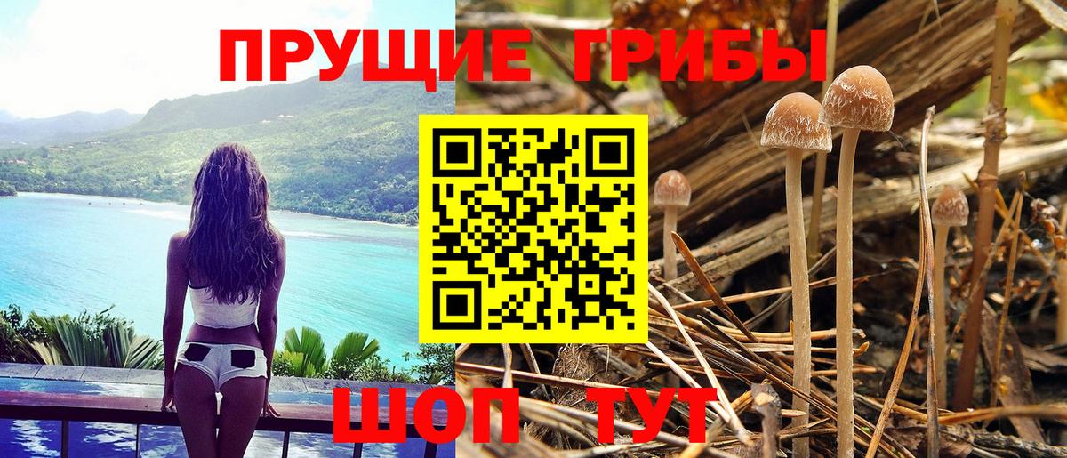 Псилоцибиновые грибы MAGIC MUSHROOMS  купить наркоту  Феодосия  Вход с VPN 
